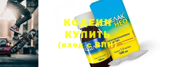 крисы Мегион