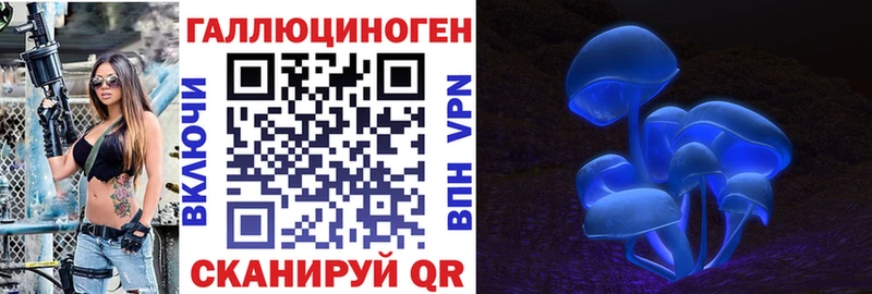 Галлюциногенные грибы Psilocybe  Купить закладки  Большой Камень 